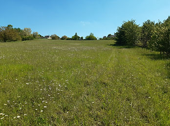 Terrasse extérieure du domaine